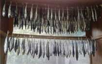 Рецепты вяленой уклейки