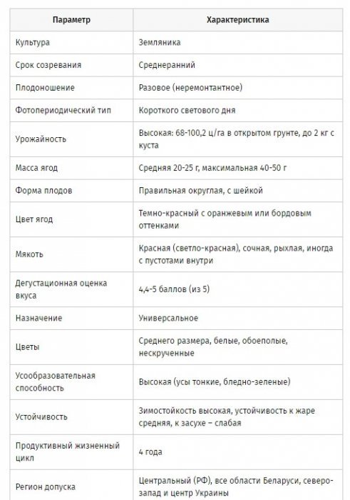 клубника Вима Занта