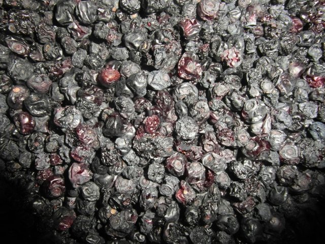 Засушенная черника