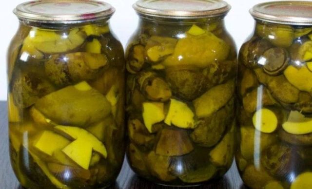 Дубовик маринованный