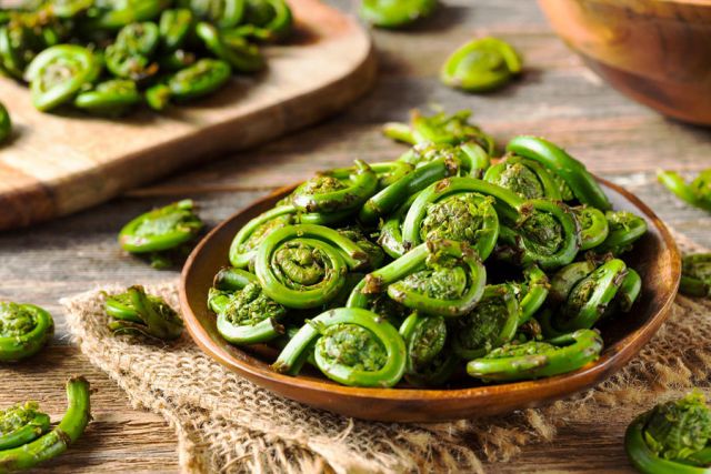 Собранные ростки папоротника