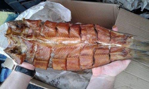 Копченый толстолобик